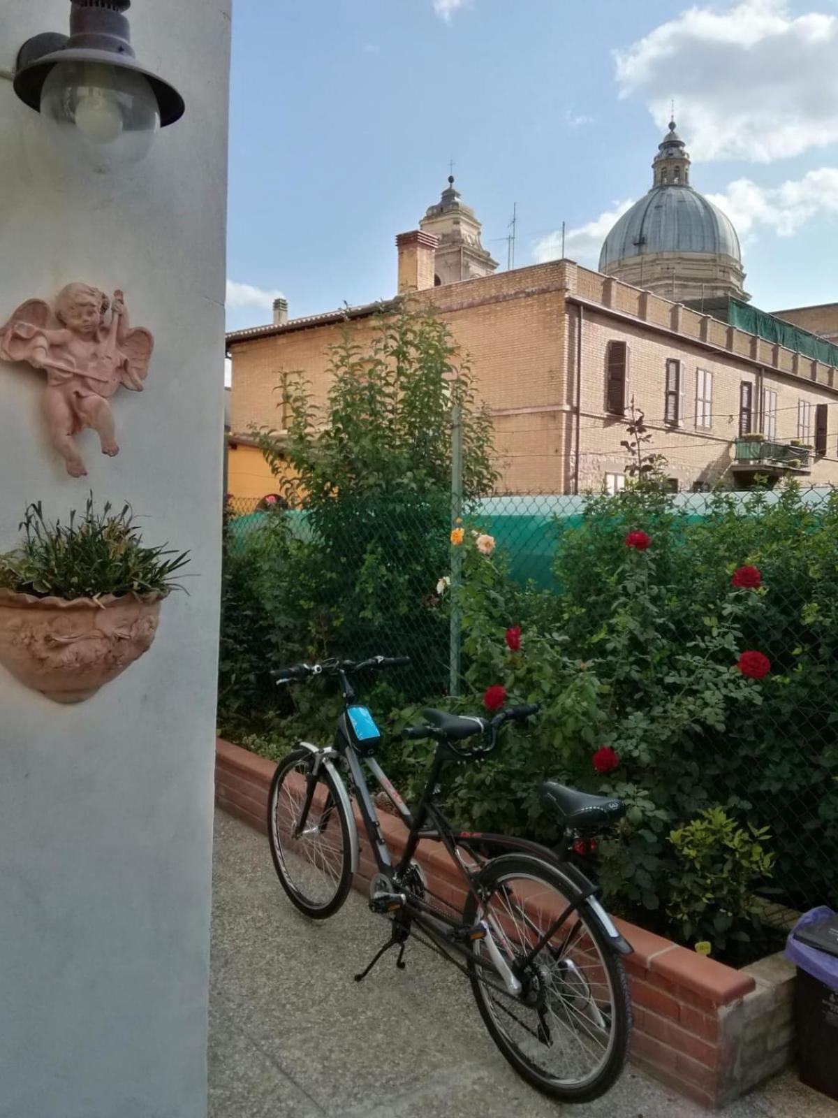 La Corte Degli Angeli Locazioni Turistiche Assisi Eksteriør bilde