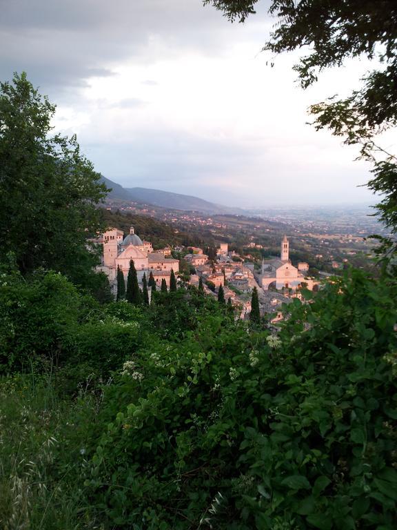 La Corte Degli Angeli Locazioni Turistiche Leilighet Assisi Eksteriør bilde